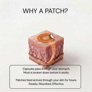 Pourquoi un patch : l'absorption transdermique